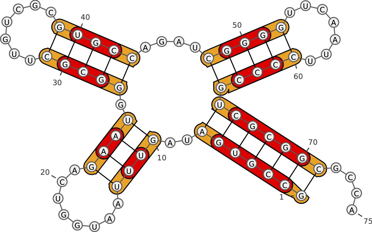 Deigan method adjusts the energetics of stacked base pairs
