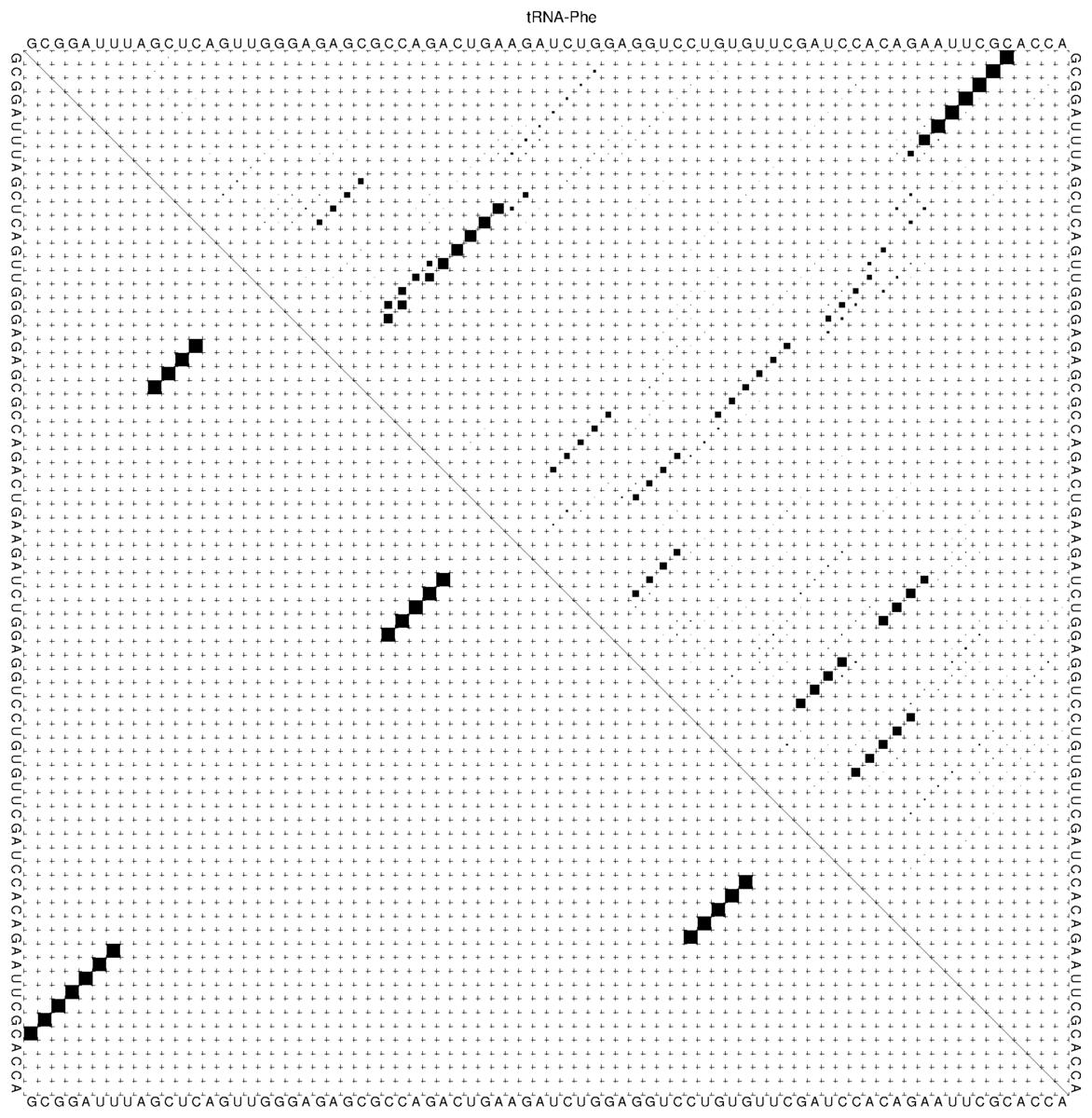 Dot plot of yeast tRNA-Phe written by RNAfold, with base pair probabilities as squares of varying size in the upper right triangle and the pairs of the MFE structure as equal squares in the lower left triangle