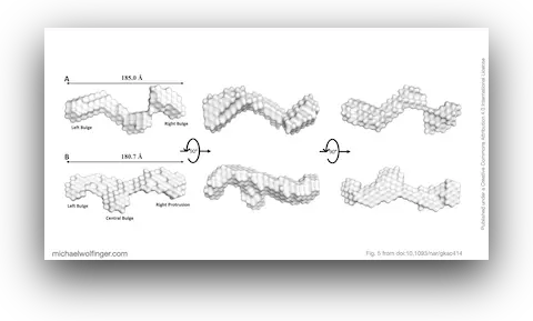 Low-Resolution SAXS Structures of LincRNA-p21 AluSx1 Inverted Repeats