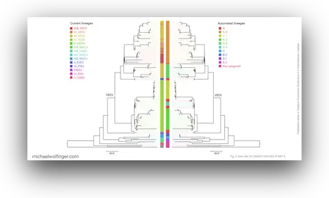 Automated lineage designation of Venezuelan Equine Encephalitis complex viruses