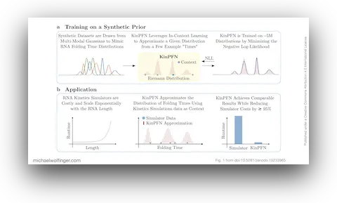KinPFN: Training on a synthetic prior
