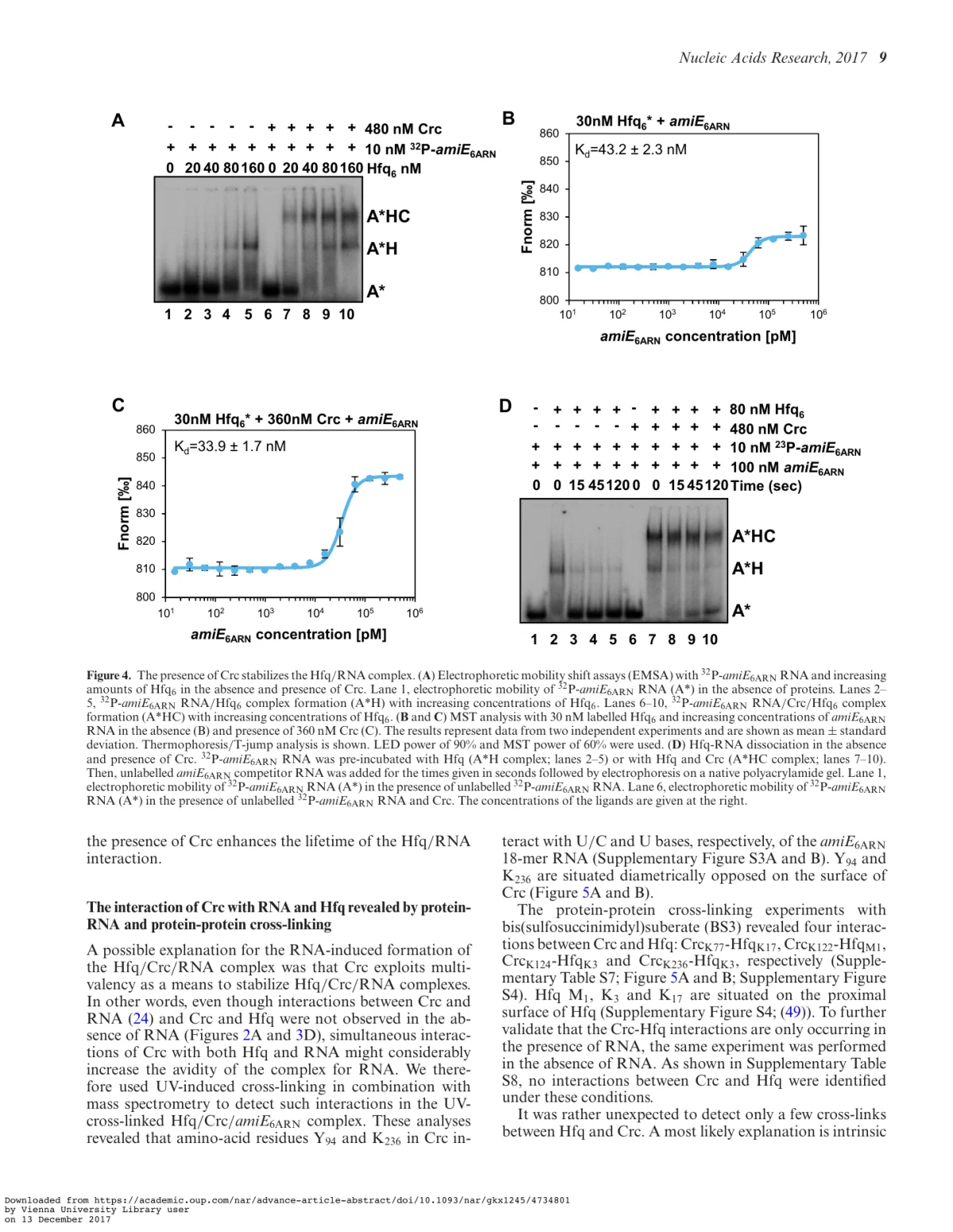 Crc stabilizes Hfq/RNA complexes in vitro