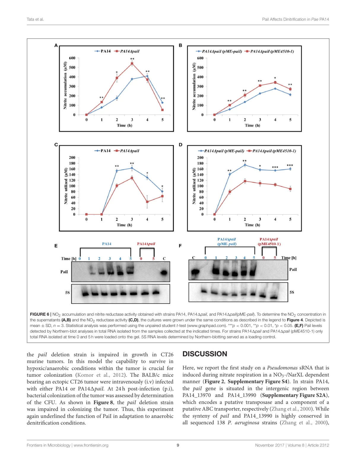 PaiI deletion causes transient nitrite accumulation and reduced nitrite reductase activity during anaerobic growth