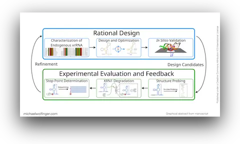 Graphical abstract of the 2026 xrRNA Design paper