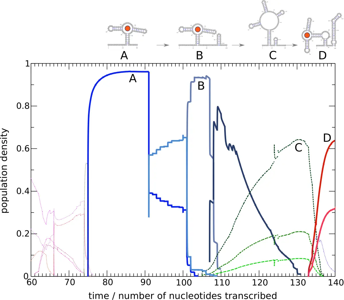 Population dynamics of competing riboswitch conformations during cotranscriptional folding